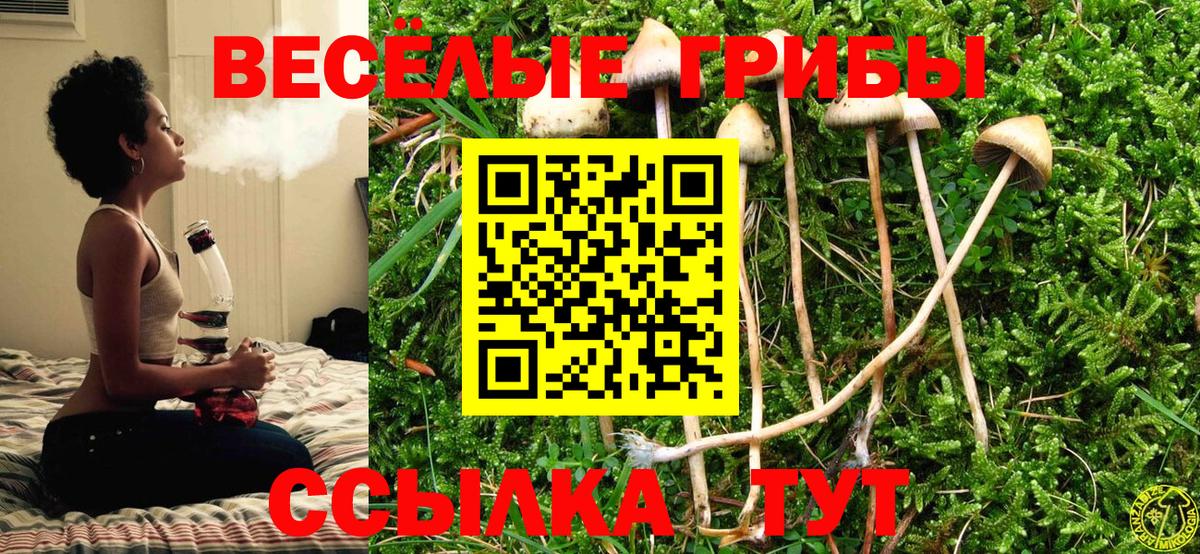 Псилоцибиновые грибы мухоморы Шадринск