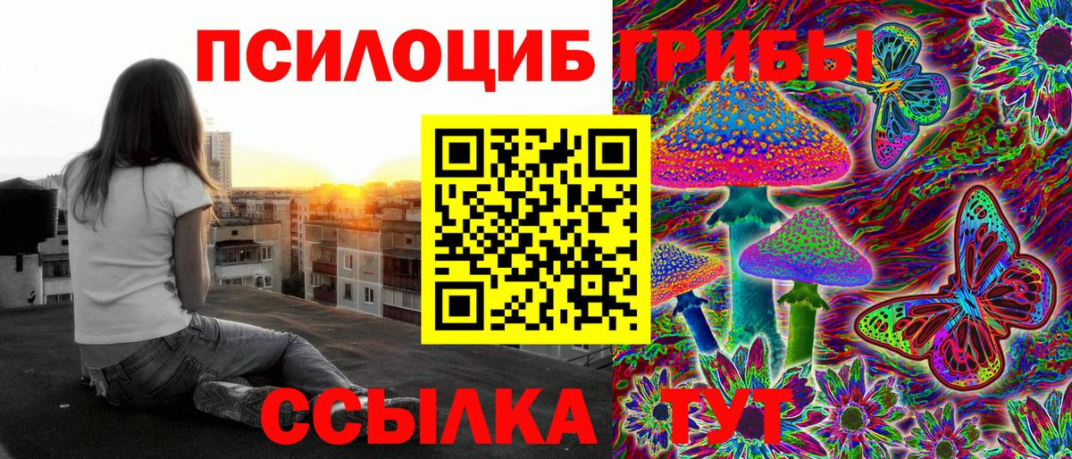 Псилоцибиновые грибы Psilocybine cubensis  Вход с VPN  Шадринск 